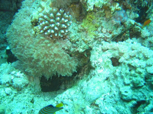 SharmElSheik030422 004