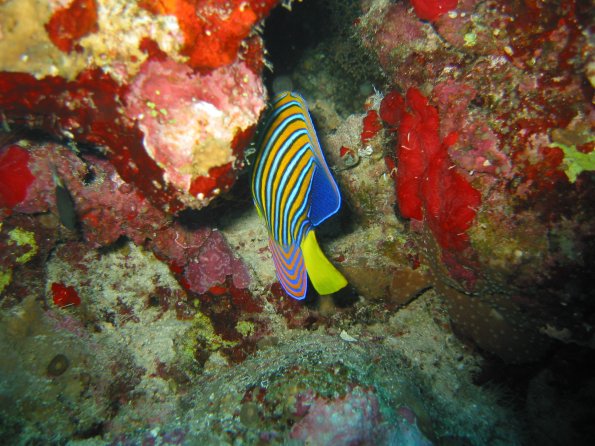 SharmElSheik030422 007