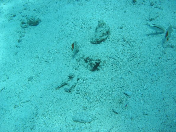 SharmElSheik030418 054