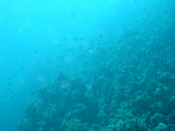 SharmElSheik030418 063