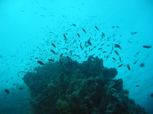 SharmElSheik030418 069