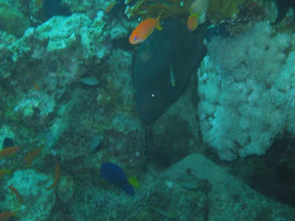 SharmElSheik030418 073