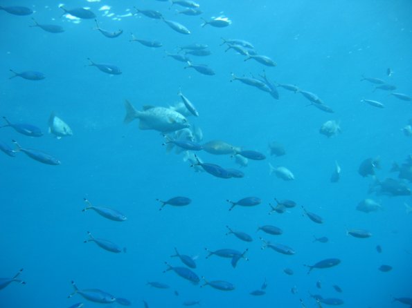 SharmElSheik030418 095