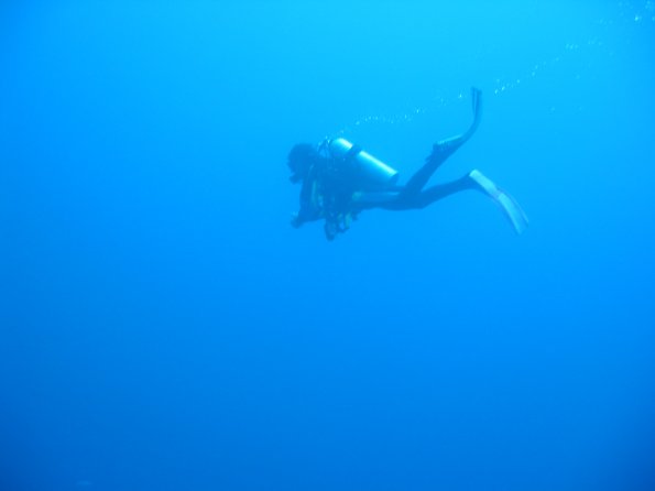 SharmElSheik030419 005