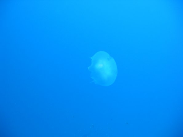 SharmElSheik030419 006