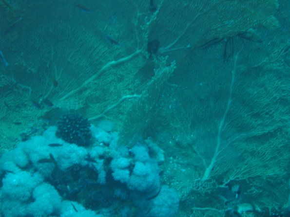 SharmElSheik030419 008