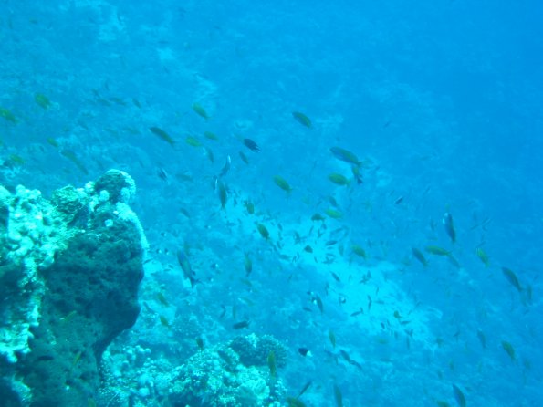 SharmElSheik030419 014