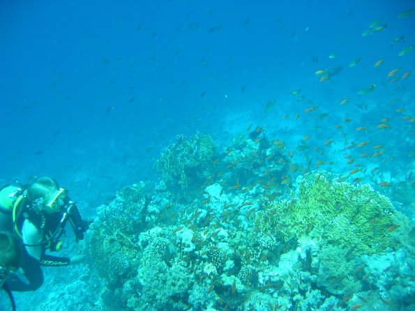 SharmElSheik030419 027